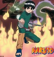 Naruto, Arc 5 : L'épreuve de transition à télécharger 
