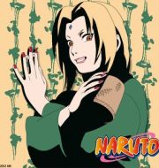 Naruto, Arc 11 : Retour au village à télécharger 