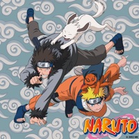Naruto, Arc 20 : Le passé d'Anko à télécharger 