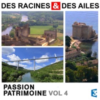 Des Racines & des Ailes, Passion patrimoine, Vol. 4 à télécharger 