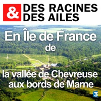 En île de France : de la vallée de Chevreuse aux bords de Marne à télécharger 
