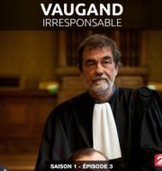 Vaugand, Irresponsable à télécharger 