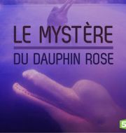 Le mystère du dauphin rose à télécharger 