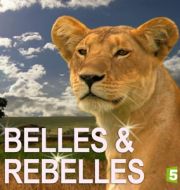 Belles & rebelles, Saison 2 à télécharger 