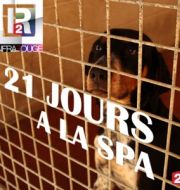 Infrarouge : 21 jours à la SPA à télécharger 