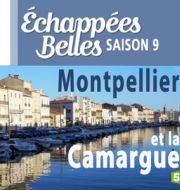 Montpellier et la Camargue à télécharger 