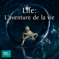 Life, Life: L'aventure de la vie à télécharger 