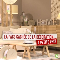 La face cachée de la déco à petits prix à télécharger 