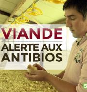 Viande, alerte aux antibios à télécharger 