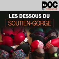Les dessous du soutien-gorge à télécharger 