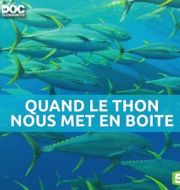 Le doc du dimanche : quand le thon nous met en boîte à télécharger 