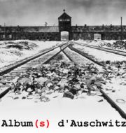 Album(s) d'Auschwitz à télécharger 