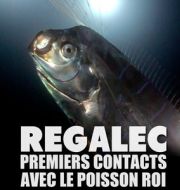 Régalec, premiers contacts avec le poisson roi à télécharger 