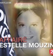 Non Elucidé : Affaire Estelle Mouzin à télécharger 