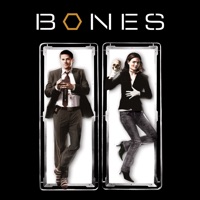 Bones, Saison 2 à télécharger 
