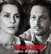 En analyse: Jake & Amy à télécharger 