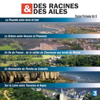 Des Racines & des Ailes, Passion patrimoine, vol. 6 à télécharger 
