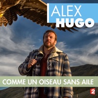 Alex Hugo : Comme un oiseau sans ailes à télécharger 