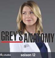 Grey's Anatomy, Saison 12 (VOST) à télécharger 