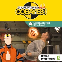 Les cobayes, c’est de la balle ! à télécharger 