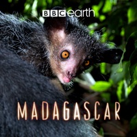 Madagascar (VF) à télécharger 