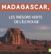 Madagascar, les trésors verts de l'île rouge à télécharger 
