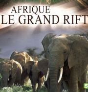 Afrique : le grand Rift, saison 1 à télécharger 