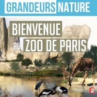 Grandeurs nature : Bienvenue au zoo de Paris à télécharger 