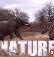 Grandeurs nature : les orphelins du paradis à télécharger 