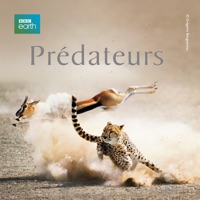 Prédateurs (VF) à télécharger 