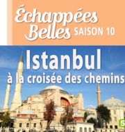 Istanbul, à la croisée des chemins à télécharger 