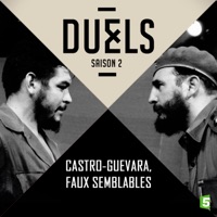 Castro-Guevara, faux semblables à télécharger 