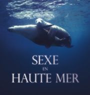Sexe en haute mer à télécharger 
