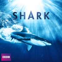 Shark, Series 1 à télécharger 