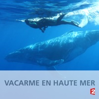 Vacarme en haute mer à télécharger 
