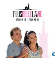 Plus belle la vie, Saison 12, Vol. 11 à télécharger 