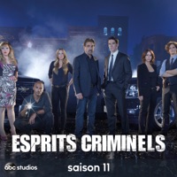 Esprits criminels, Saison 11 à télécharger 