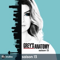 Grey's Anatomy, Saison 13 (VOST) à télécharger 