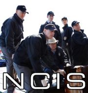 NCIS, Saison 8 à télécharger 