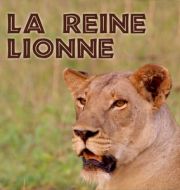 La Reine Lionne à télécharger 