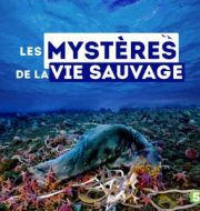Les mystères de la vie sauvage à télécharger 