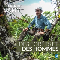 Le monde de Jamy : Des forêts et des hommes à télécharger 