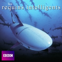 Les requins intelligents à télécharger 
