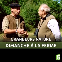 Dimanche à la ferme à télécharger 