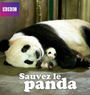 Saving the Panda, Sauvez le panda à télécharger 