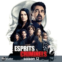 Esprits criminels, Saison 12 à télécharger 
