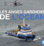 Les anges gardiens de l'océan à télécharger 