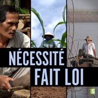 Nécessité fait loi à télécharger 