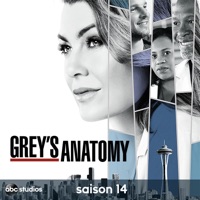 Grey's Anatomy, Saison 14 (VOST) à télécharger 