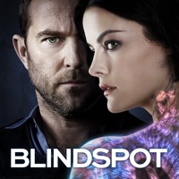 Blindspot, Saison 3 (VOST) à télécharger 